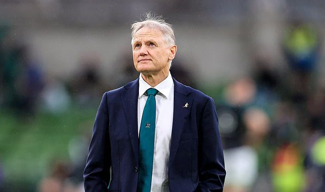 Wallabies ispuštaju veliku trenersku bombu na budućnost Joea Schmidta uoči ovobiranja British and Irish Lions Tour ovog ljeta