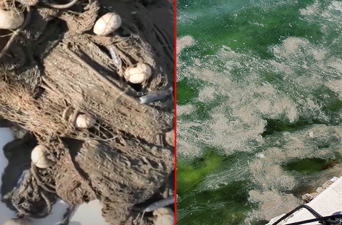 Cromaris objavio da je ostvario veliku dobit, no zbog sve toplijeg mora umire sve više ribe!