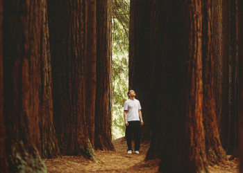 Zašto digitalna sredstva velike kapice nadmašuju