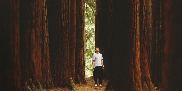Zašto digitalna sredstva velike kapice nadmašuju