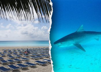 Žena gubi obje ruke u napadu morskih pasa u Turcima i Caicosu nakon što fotografija propadne