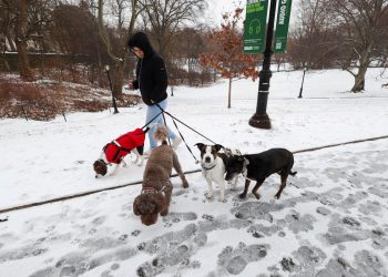 Zimska oluja eksplodira sjevernom nas sa 100 milijuna pod upozorenjima za led i značajnim snježnim padavinama