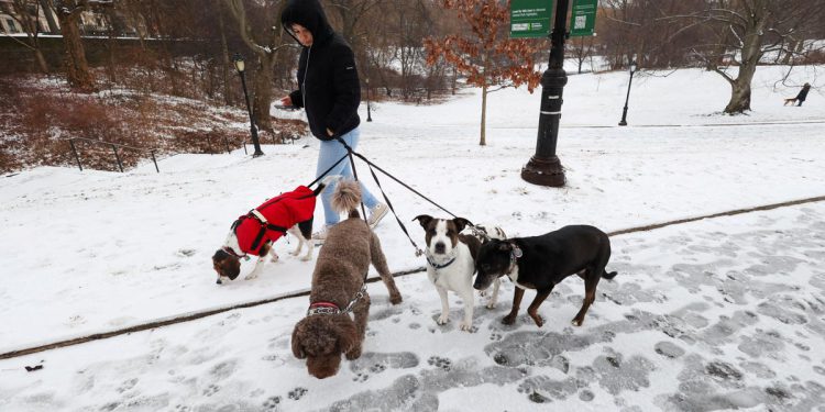 Zimska oluja eksplodira sjevernom nas sa 100 milijuna pod upozorenjima za led i značajnim snježnim padavinama