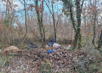 Živjela kultura i ekološka svijest – ovako izgleda jedan istarski šumarak!