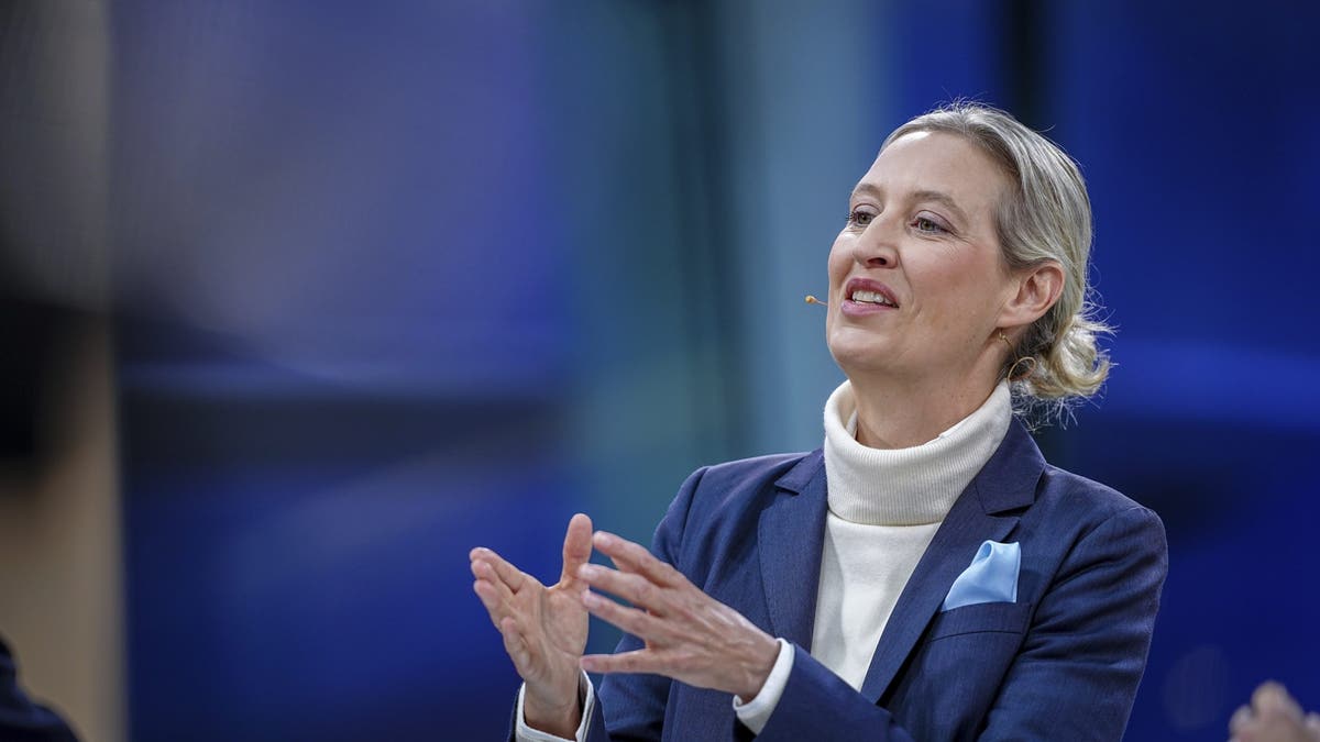 Alice Sunl, AfD