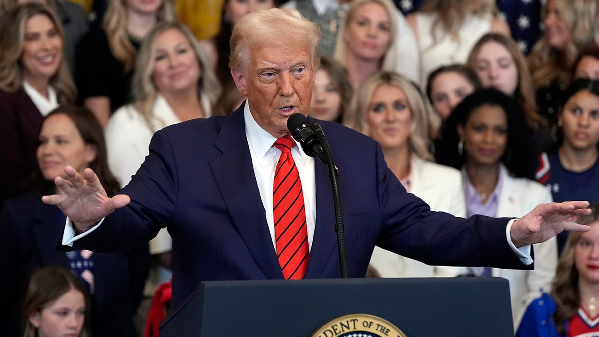 Donald Trump riffovi na gomilu