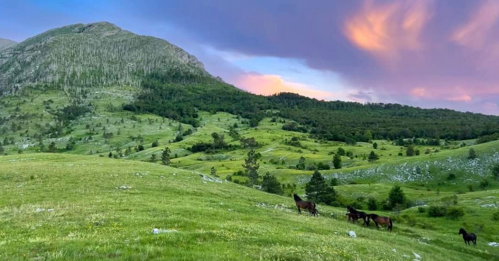 Izgradnja solara na Glogovu i Jasenjinima