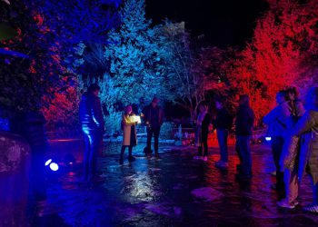 Malakološki muzej u Makarskoj oduševio 400 posjetitelja u Noći muzeja