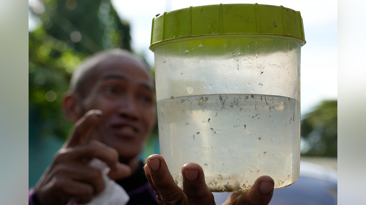Nakon izbijanja denge, selo na Filipinima ponudilo je bogatstvo jednog Filipina pesoa za svakih pet komaraca.