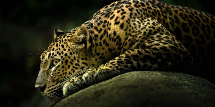 test – DALMACIJA DANAS