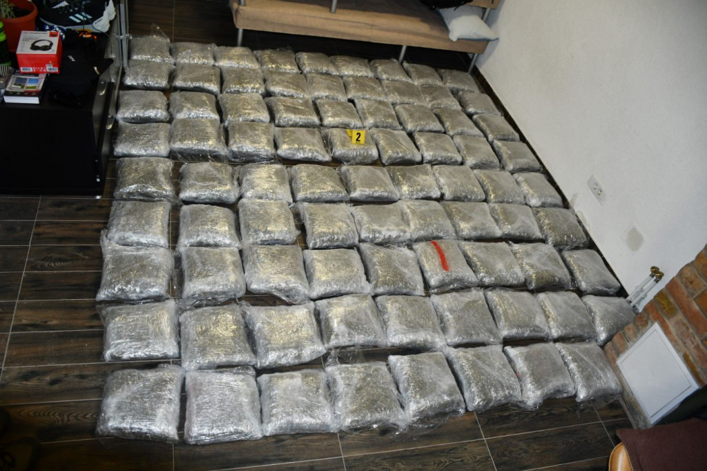 Zaplijenjeni droga i oružje