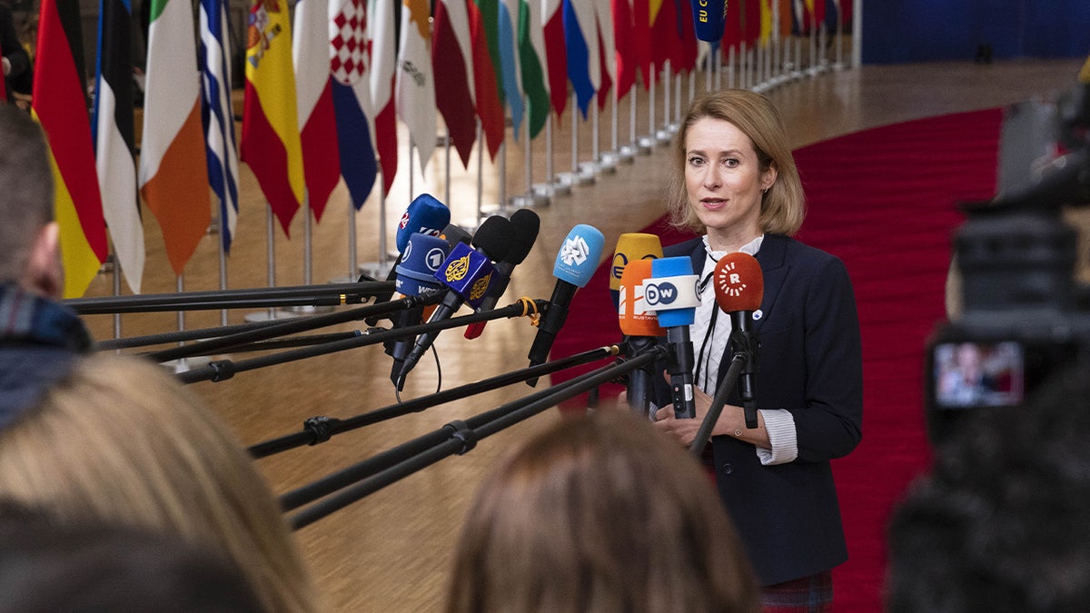 EU diplomat kaja hladnoća