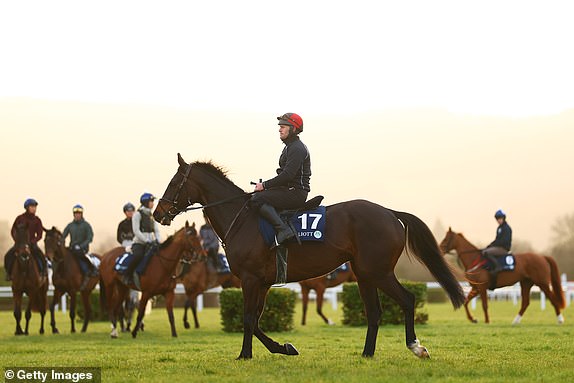 CHELTENHAM, ENGLAND - MARCH 11: Conflated on the gallops with the rest of the Gordon Elliott string before Day One of the 2025 Cheltenham Festival at Cheltenham Racecourse on March 11, 2025 in Cheltenham, England. (Photo by Dan Istitene/Getty Images)