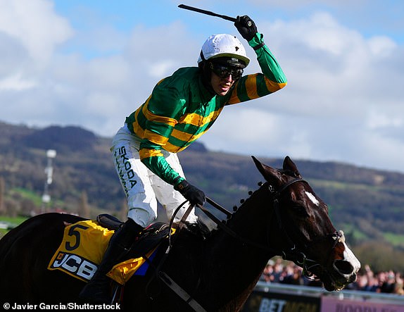 Mandatory Credit: Photo by Javier Garcia/Shutterstock (14384974ah) Jockey Mark Walsh wins the JCB Triumph Hurdle onboard Majborough The Cheltenham Festival 2024, Day Four, Horse Racing, Cheltenham Racecourse, Cheltenham, UK - 15 Mar 2024