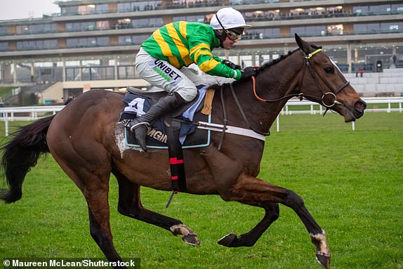 Obavezna zasluga: Foto Maureen McLean/Shutterstock (15106728ag) Jonbon Ridd by Jockey Nico de Boinville čisti posljednju prije nego što je osvojio BGM Clarence House Steeple Chase Clase 1 GBB utrke razreda 1 razreda u BGM Clarence House Chaseu u Ascot Racecoursu. Vlasnik John P McManus, trener Nicky Henderson, Lambourn Horse Racing, Betmgm Clarence House Chase Raceday, Ascot Racecourse, Ascot, Berkshire, Velika Britanija - 18. siječnja 2025.