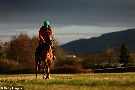 CHELTENHAM, ENGLAND - MARCH 13:  A horse on the gallops before Day Three of the 2025 Cheltenham Festival at Cheltenham Racecourse on March 13, 2025 in Cheltenham, England. (Photo by Dan Istitene/Getty Images)