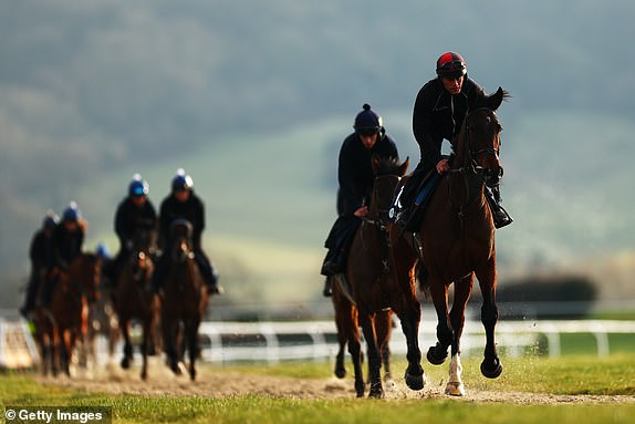 CHELTENHAM, ENGLAND - MARCH 13:  Horses on the gallops before Day Three of the 2025 Cheltenham Festival at Cheltenham Racecourse on March 13, 2025 in Cheltenham, England. (Photo by Dan Istitene/Getty Images)