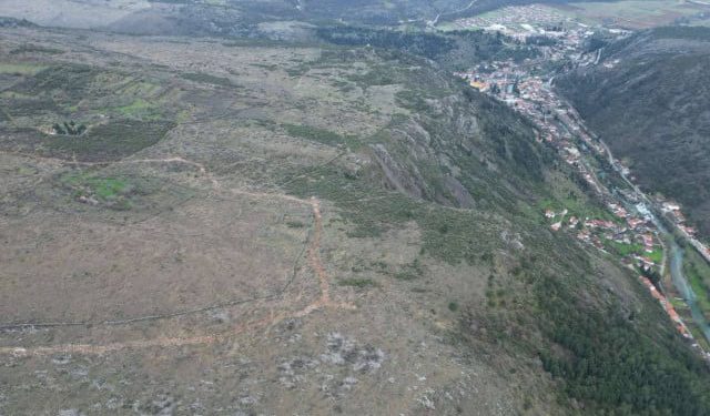 ŠTO SE KRIJE IZA SOLARA U STOCU Prodali državno zemljište i grade solare, a građane ništa nisu ni pitali