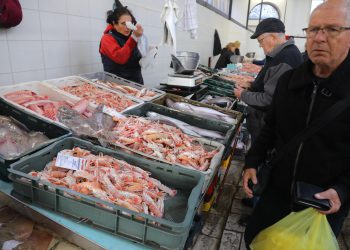 Slobodna Dalmacija – Ala šta ste me snervali sa škampima; evo van ribarnica usrid Splita, sve je upola jeftinije nego na onoj glavnoj!