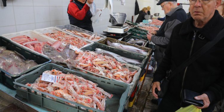 Slobodna Dalmacija – Ala šta ste me snervali sa škampima; evo van ribarnica usrid Splita, sve je upola jeftinije nego na onoj glavnoj!