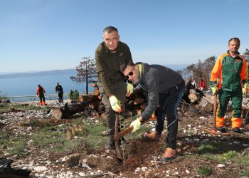 Slobodna Dalmacija – Vraća se život na Biokovo, udarnički zapeli načelnica Podgore i Nediljko Dujić, pogledajte kako mu dobro leži mašklin
