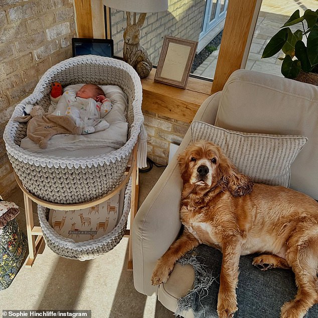 Obiteljski obožavani pas također se nalazio u prezentaciji