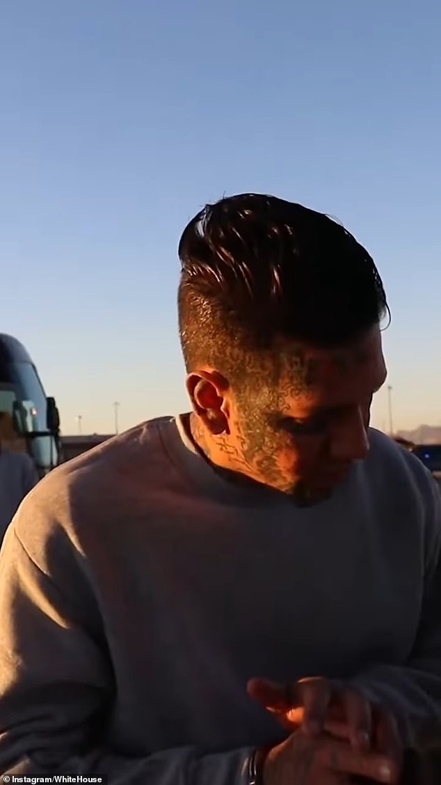 Video je opisani s tekstovima melodije dok je čitao: '(Music Note Emoji) Ne morate ići kući, ali ovdje ne možete ostati (Music Note Emoji) @borderpatrol'