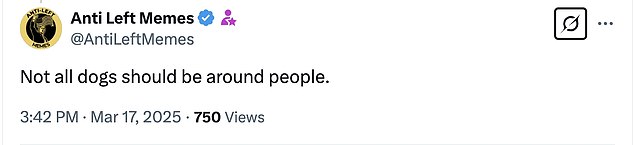 Iako je isključio komentare na svoj originalni Instagram videozapis, računi koji su odgovarali na isječke i vijesti koje su ostali računi objavili na X (ranije Twitter), uglavnom su krivili Lowea za čak i za spašavanje psa