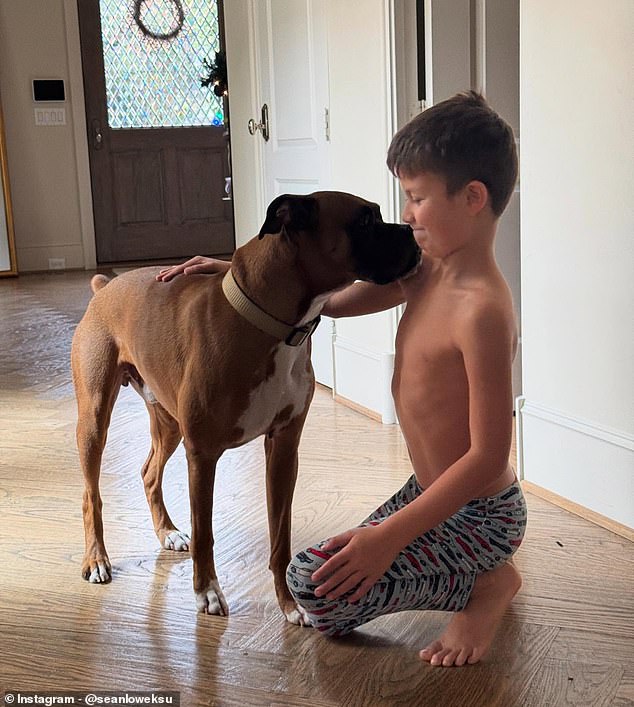 Lowe je rekao da je jedva uspio zaustaviti napad, a bio je siguran da su njegova supruga ili djeca mogli biti ubijeni ako budu izbačeni, pa je odlučio da pas mora ići