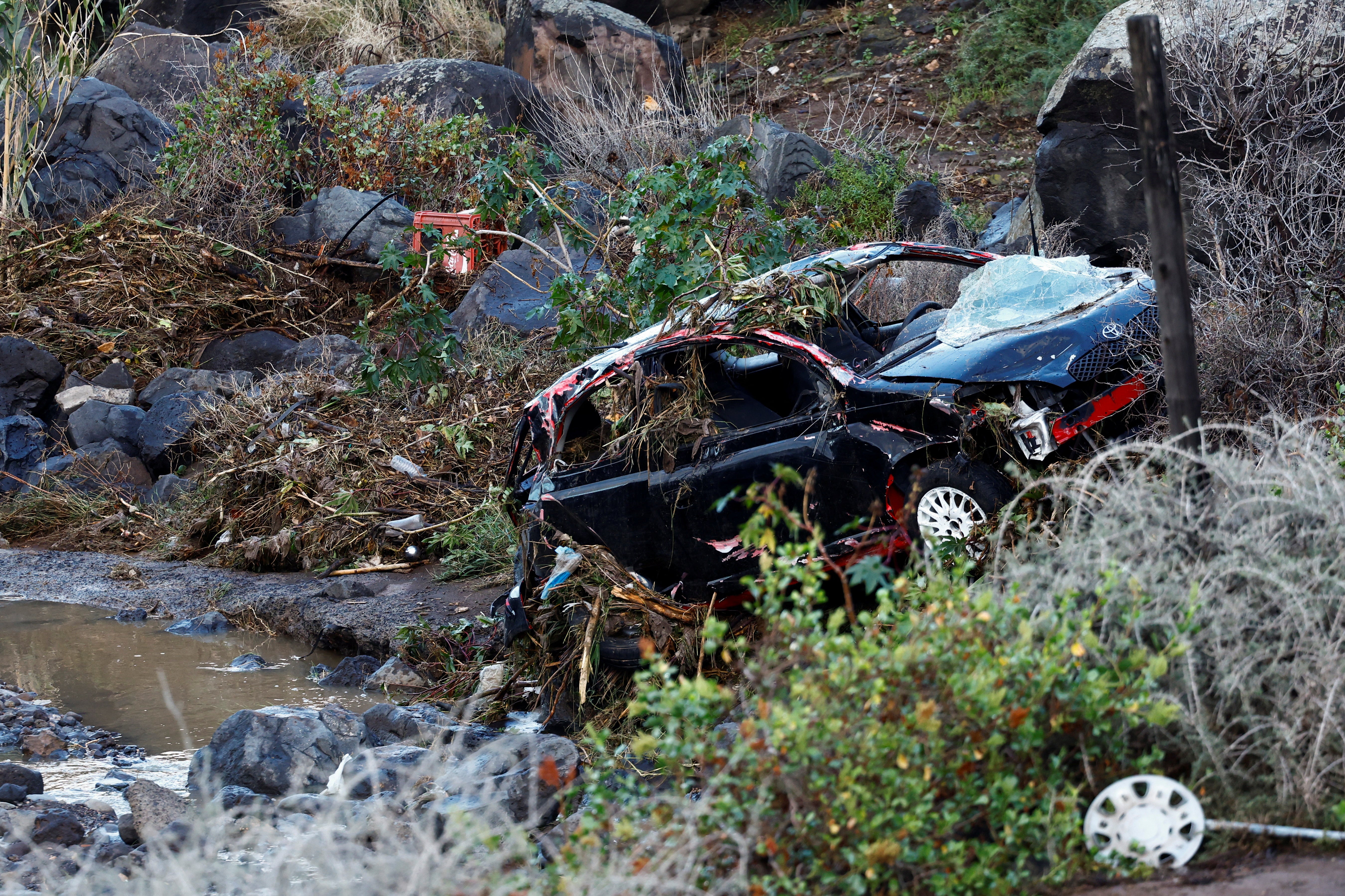 Automobil koji je kiša progutala, laže usred vegetacije