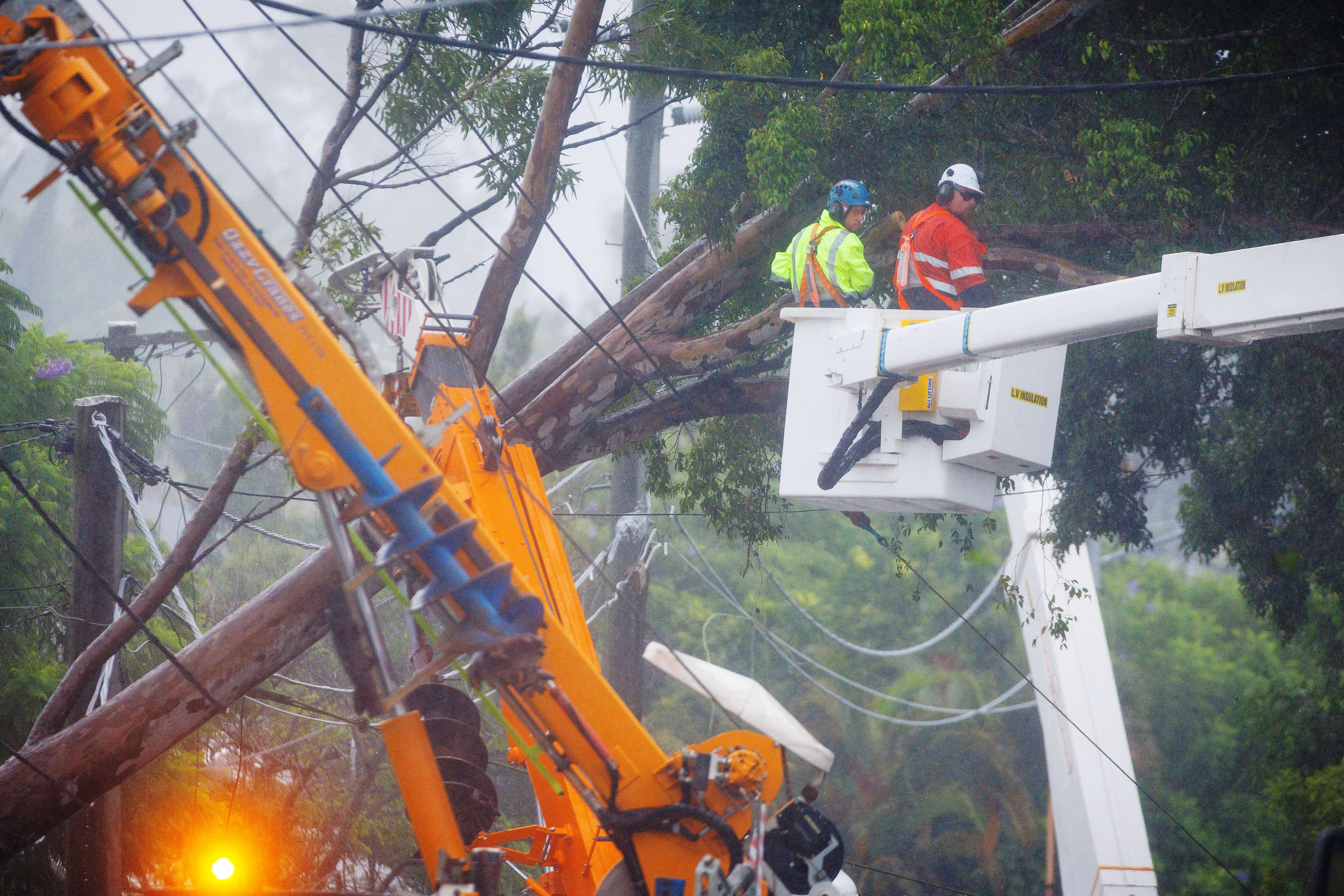 Energex posade očiste palo stablo nakon prolaska tropskog ciklona alfreda u Brisbaneu o