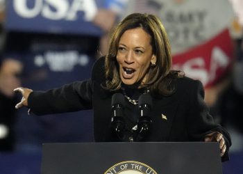 Anketa: Popularnost Demokratske stranke pala je na rekordno nisku razinu