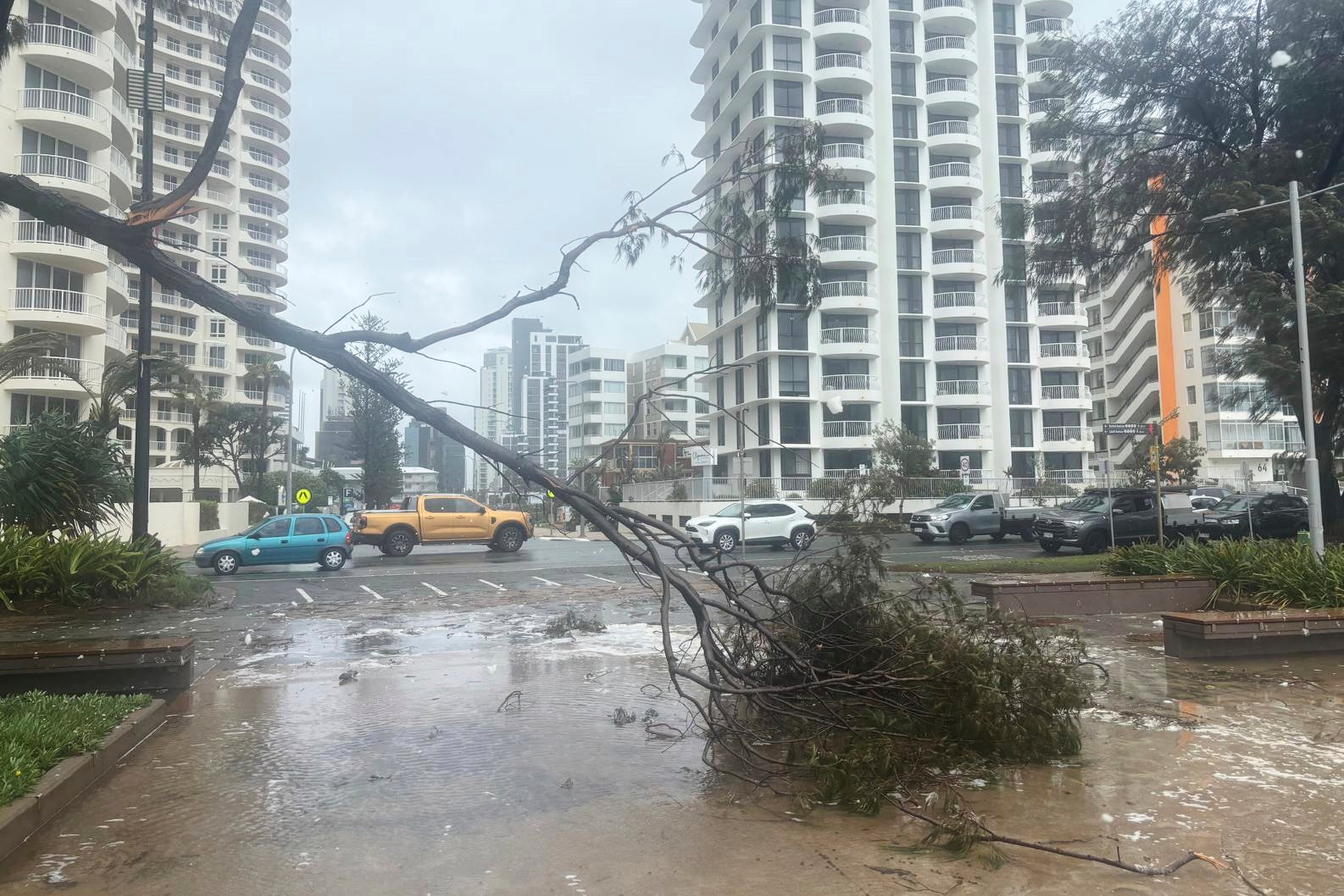 Stablo leži na plaži na plaži nakon Cyclona Alfreda na Gold Coast u Australiji
