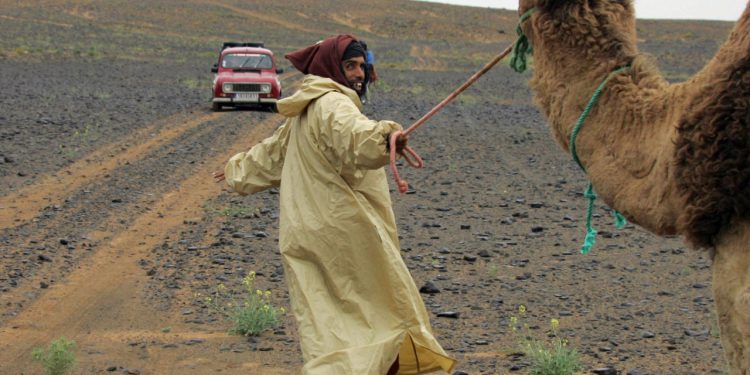 Auto Klub – Gledajući ovu snimku pretovarenog Renaulta 4, kako se ne složiti da mu nadimak ‘Mali div’ sjajno pristaje