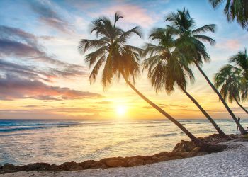 Bivši izvršitelji Bittrexa prikupili su 40 milijuna dolara u BTC-u kako bi podržali osiguravajuću tvrtku s licencom Barbados