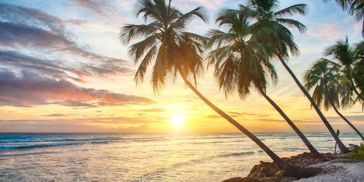 Bivši izvršitelji Bittrexa prikupili su 40 milijuna dolara u BTC-u kako bi podržali osiguravajuću tvrtku s licencom Barbados