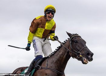 Cheltenham Festival 2025: Kada započinje? Kako gledati, puni raspored i datum zlata