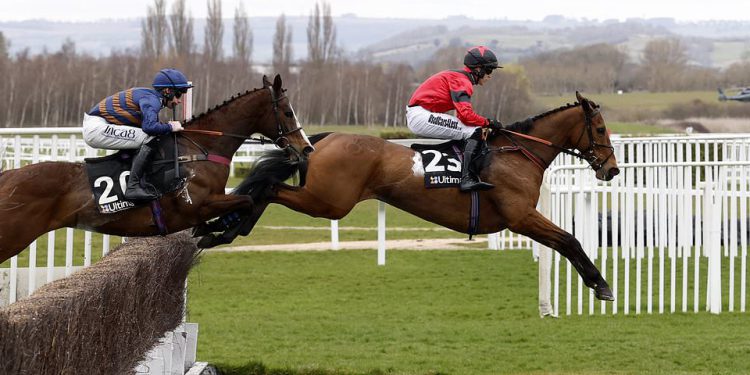 Cheltenham Festival 2025 LIVE: Tips and results from Day One as bookies breathe a sigh of relief