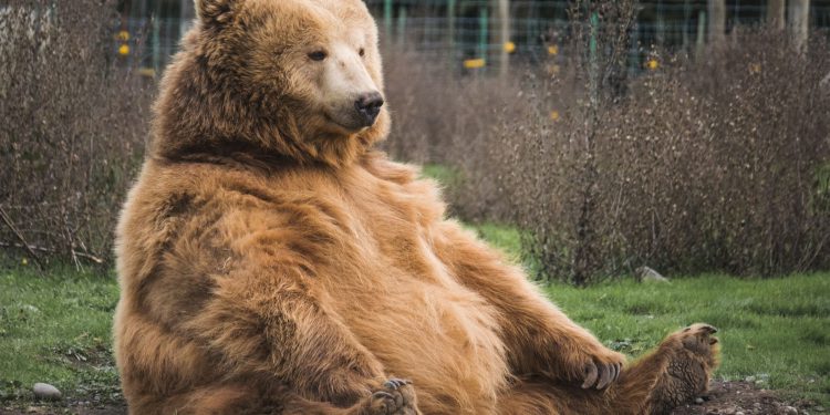 Cijena bitcoina (BTC) padne ispod 87 tisuća dolara jer tržište vraća većinu nedjeljnog napredovanja