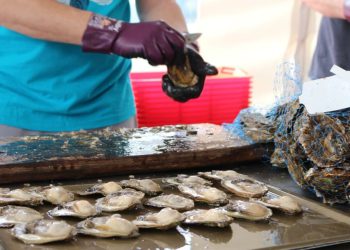 Dan limskih oštriga oduševio brojne posjetitelje