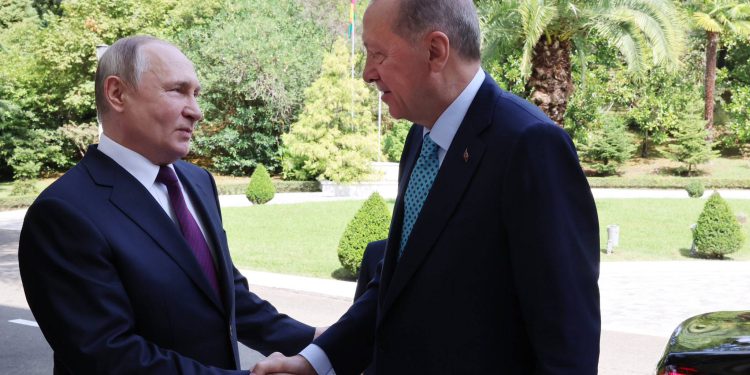 Danas razgovarali ruski i turski predsjednici Putin i Erdogan