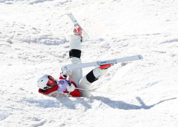 Dogecoin pada 9% jer Trump Douses Bullish Crypto Reserve nade