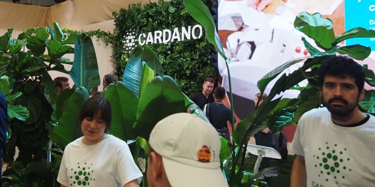 Duboko zaronite na Trumpov rezervni token čiji blockchain ignorira TVL