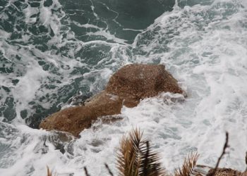 Dubrovačko njorgalo: Stanovi političara i transport mladića s Lastova potvrdili su da je Hrvatska zemlja za poželjet’, a država za plakat’