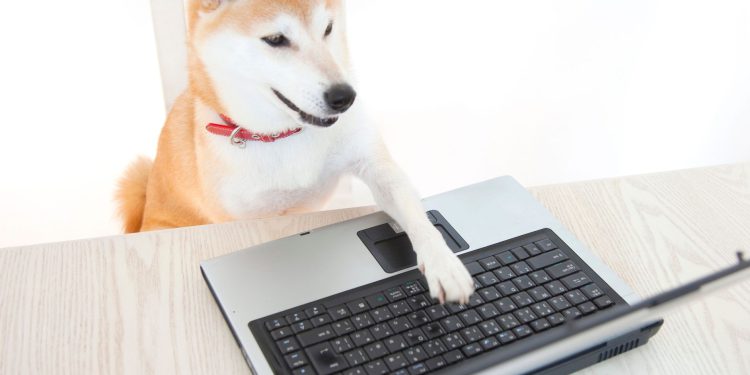 Elon Musk, dogecoin zagovornik i američka agencija Figuehead, kaže “Nijedan Doge in Doge”