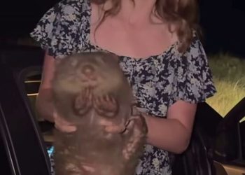 Furious Moment zvijezde projekta izbiju na ‘Wombat Girl’ Sam Strable – nakon što je kontroverzni američki influencer izbacio iz svog zakazanog intervjua u posljednjem trenutku: ‘To je patetično’