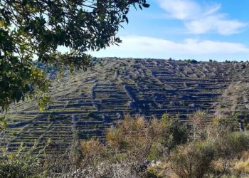 Hvar Gravel Challenge 2025. posebna je biciklistička utrka