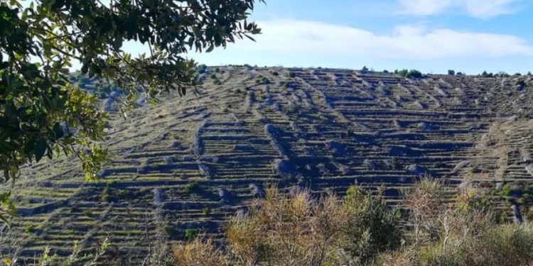 Hvar Gravel Challenge 2025. posebna je biciklistička utrka