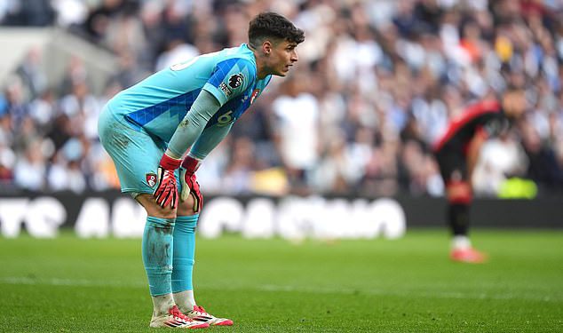 Kepa Arizabalaga zalupila su navijači nakon što je Bournemouth koštala dva gola protiv Tottenhama