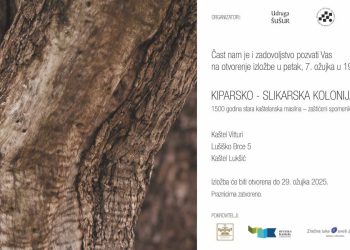 Kiparsko-slikarska kolonija u Kaštelima: “1.500 godina stara kaštelanska maslina- zaštićeni spomenik prirode 2018.-2024.”